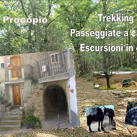 Affitta Camere San Procopio Troina Exteriör bild